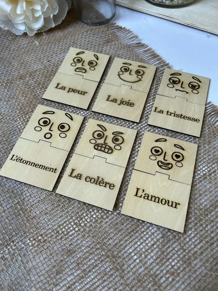 Les émotions